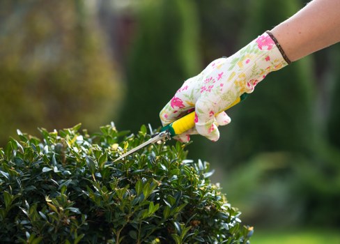 Professional gardening services in a Hornchurch residential garden