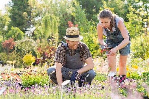 Seasonal planting ideas for landscape gardening in Hornchurch