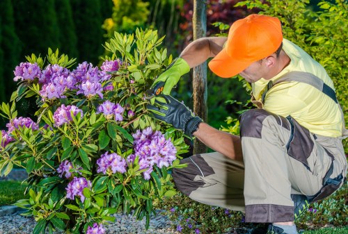 Healthy green lawn care in Hornchurch garden