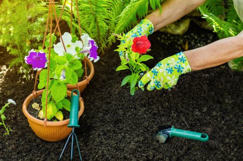 Professional Hornchurch garden specialists working on outdoor upkeep