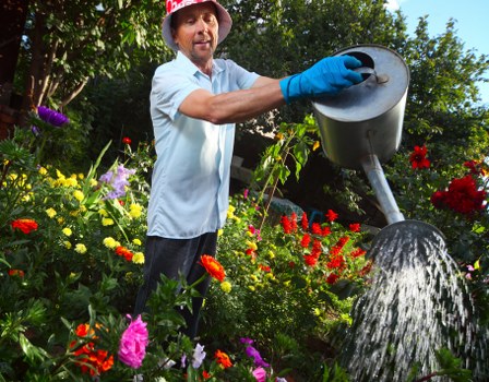 Crown reduction and pruning service for Hornchurch trees