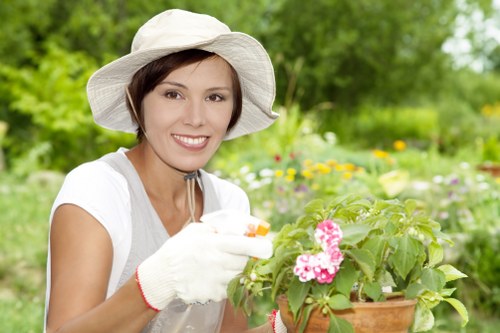 Overgrown garden restoration and clearance in Hornchurch