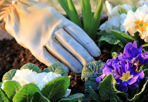 Professional gardener using protective equipment during outdoor maintenance