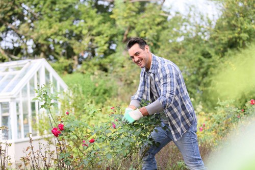 Aeration and lawn treatment in Hornchurch