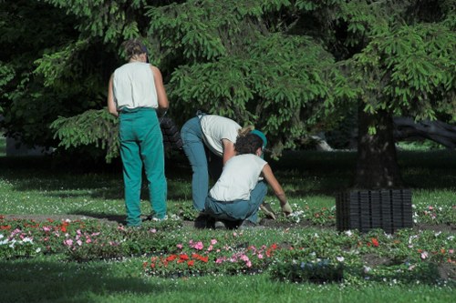 Evergreen hedge maintenance in Hornchurch with clean, even cuts