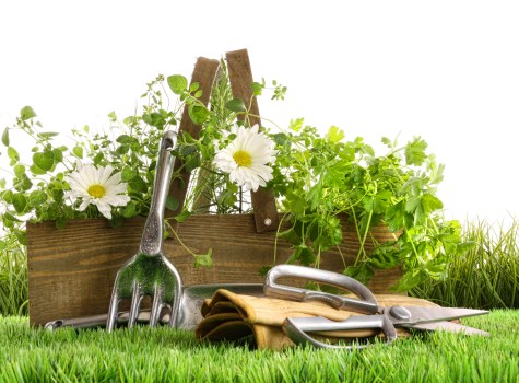 Seasonal garden upkeep in Hornchurch with healthy planting