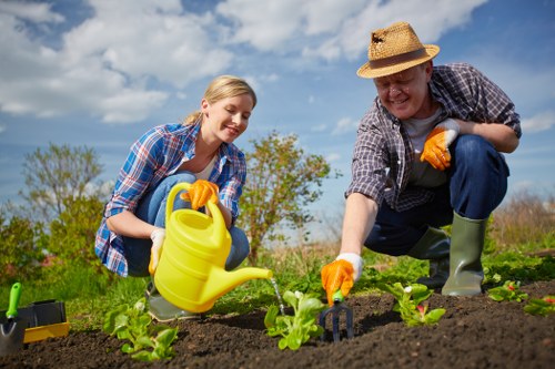 Visual for accessibility review and inclusive gardening services