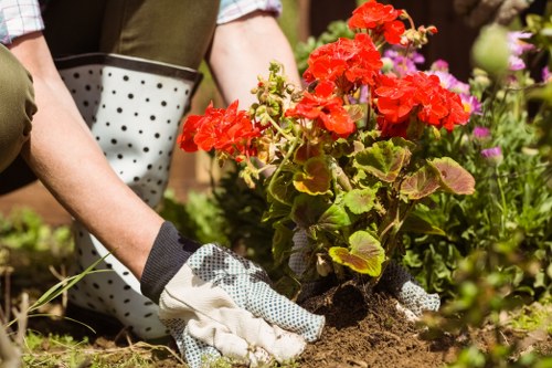 Hedge trimming and lawn care for Hornchurch gardens