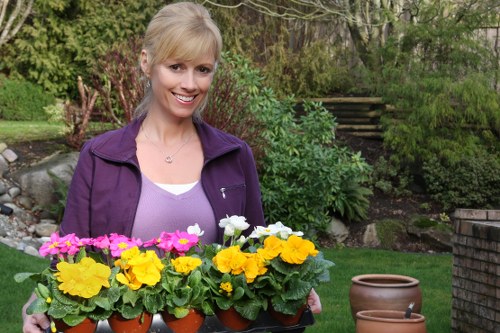 Gardeners Hornchurch completing a safe and professional garden service