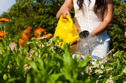 Regular lawn maintenance for Hornchurch property