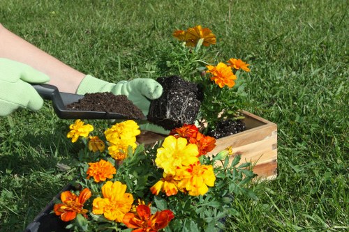 Garden waste removal and outdoor cleanup in Hornchurch
