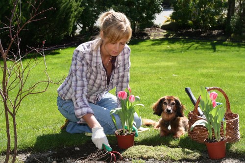 Planting and border design in a Hornchurch garden