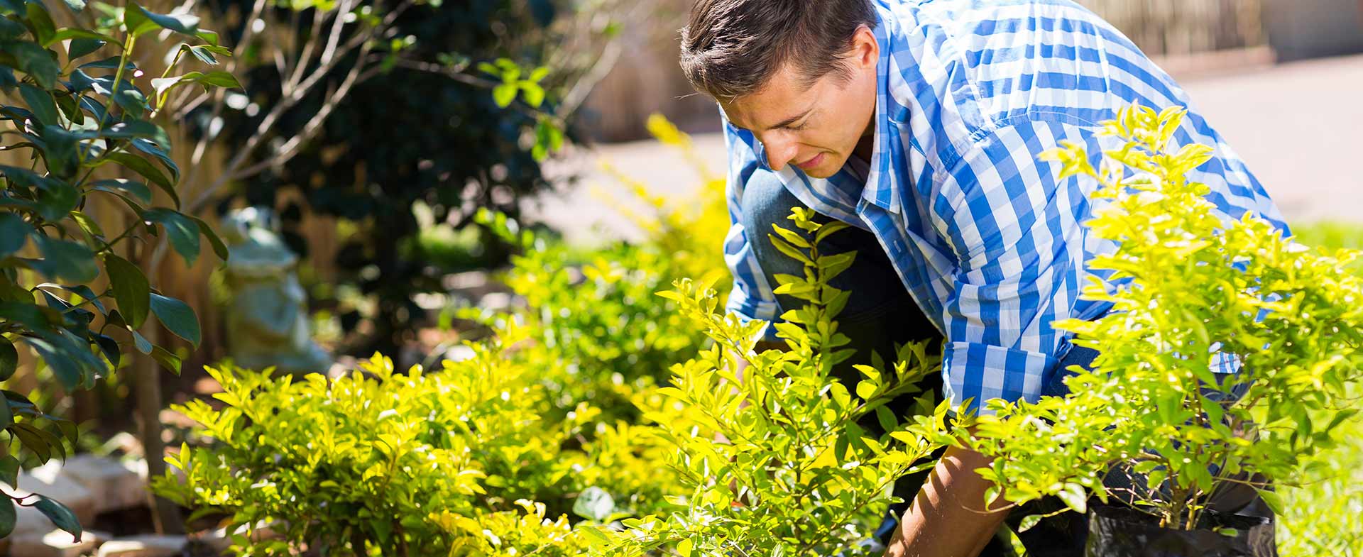 Gardeners Hornchurch